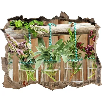 Fototapeta Samolepící nálepka fototapeta Bylinky sklenice