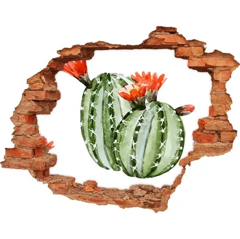 Fototapeta Nálepka díra na zeď Kaktusy