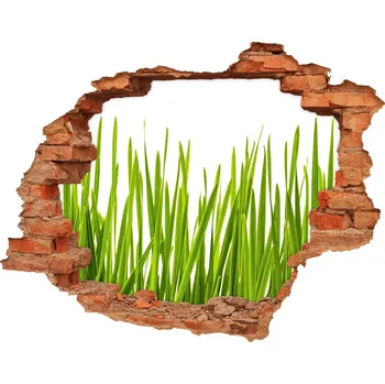 Fototapeta Samolepící nálepka fototapeta Tráva