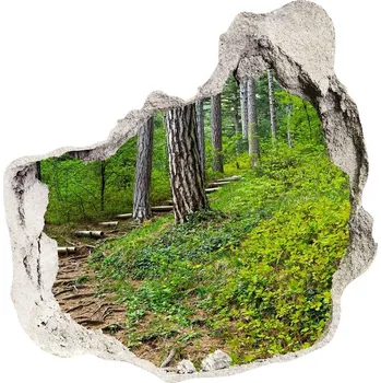 Fototapeta Díra 3D ve zdi nálepka Lesní stezka
