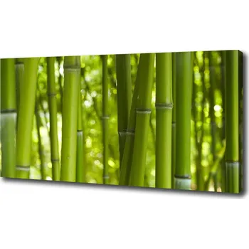 Obraz Foto obraz na plátně Bambus
