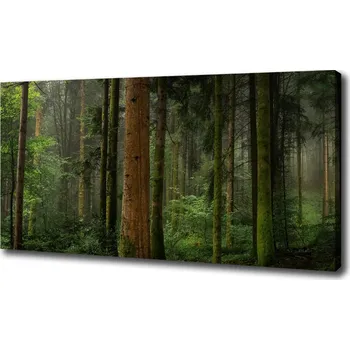 Obraz Foto obraz na plátně Mlha v lese