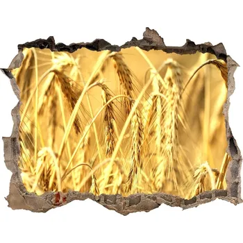 Fototapeta Samolepící díra na stěnu nálepka Zboží