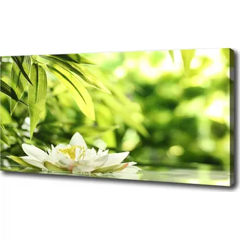 Obraz Moderní obraz canvas na rámu Vodní lilie