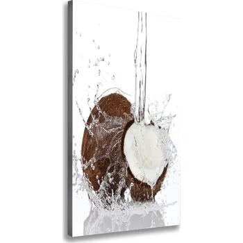 Obraz Vertikální Foto obraz tištěný na plátně Kokos