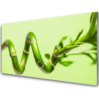 Obraz Obraz na skle Bambus Rostlina Příroda 100x50 cm 2 Přívěsky
