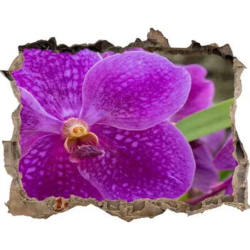 Fototapeta Samolepící díra nálepka Orchidej