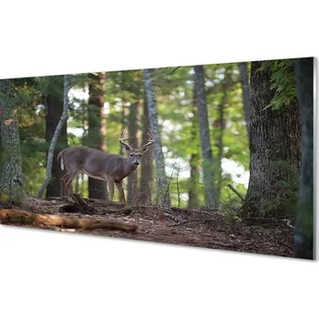 Obraz Obraz na skle jelen lesní 100x50 cm 2 Přívěsky