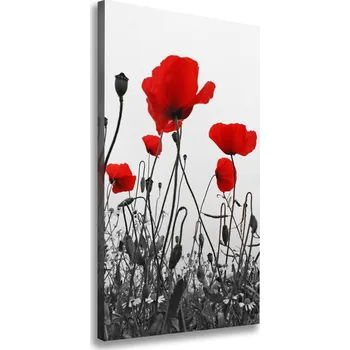 Obraz Vertikální Vertikální Foto obraz na plátně do obýváku Polné máky