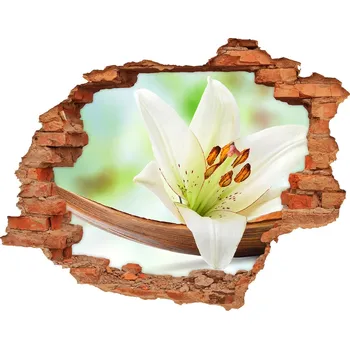 Fototapeta Samolepící díra nálepka beton Lilie