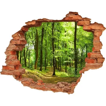 Fototapeta Díra 3D ve zdi nálepka Lesní stezka