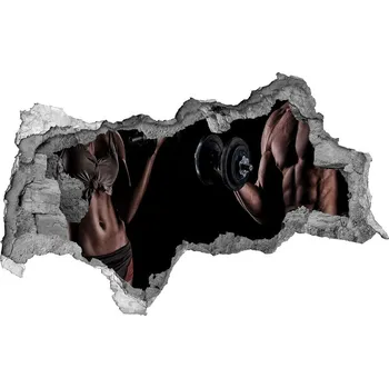 Fototapeta Samolepící díra na stěnu Svaly