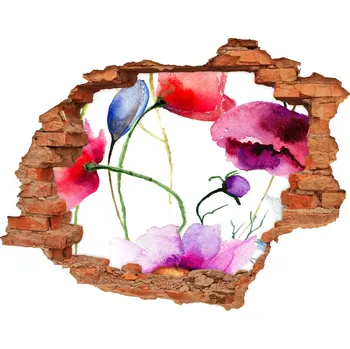 Fototapeta Nálepka 3D díra na zeď samolepící Máky