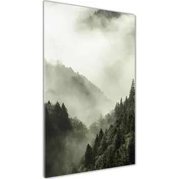 Obraz Vertikální Foto obraz fotografie na skle Mlha nad lesem