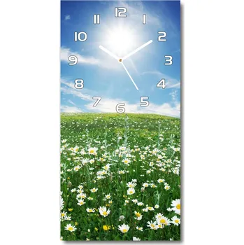 Hodiny Moderní hodiny nástěnné Louka