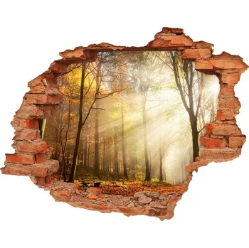 Fototapeta Díra 3D ve zdi na stěnu Mlha v lese