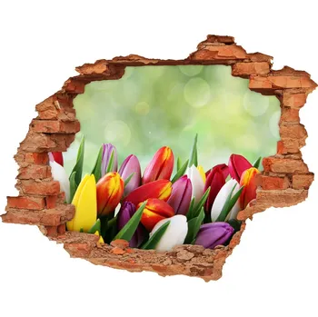 Fototapeta Samolepící díra na stěnu Barevné tulipány