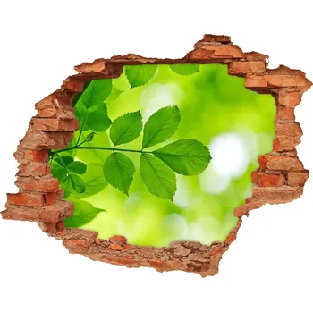 Fototapeta Samolepící díra na stěnu Zelené listí