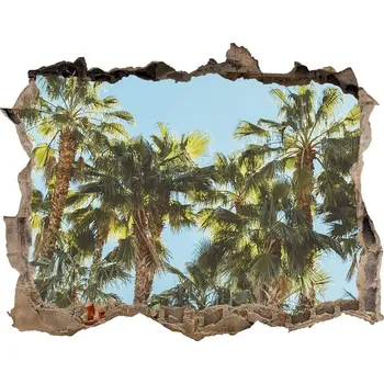 Fototapeta Samolepící nálepka beton Vysoké palmy