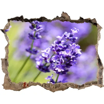 Fototapeta Samolepící díra nálepka beton Levandule