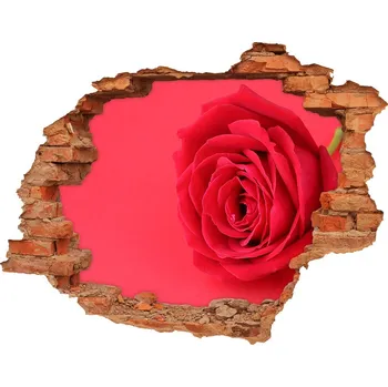 Fototapeta Díra 3D fototapeta na stěnu Červená růže