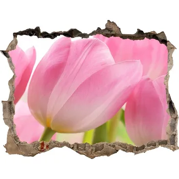 Fototapeta Samolepící díra nálepka Růžové tulipány