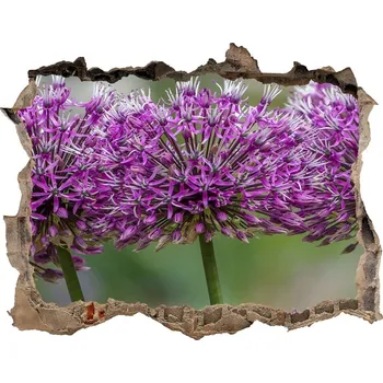 Fototapeta Samolepící díra na stěnu Květ česneku