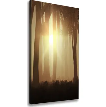 Obraz Vertikální Foto obraz canvas Mlha v lese