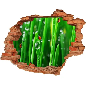 Fototapeta Samolepící díra Berušky na trávě