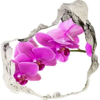 Fototapeta Samolepící díra nálepka Růžová orchidej
