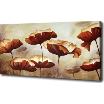 Obraz Foto obraz na plátně Máky