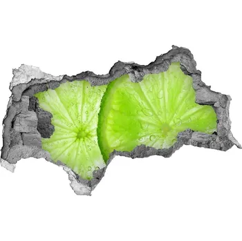 Fototapeta Nálepka 3D díra na zeď Limetky pod vodou