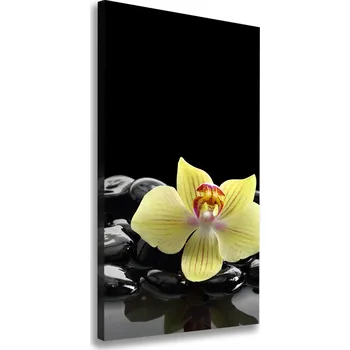 Obraz Vertikální Foto obraz na plátně Orchidej a kameny