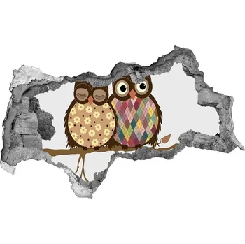 Fototapeta Díra 3D fototapeta Dvě sovy na větvi