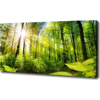 Obraz Foto obraz na plátně do obýváku Les slunce