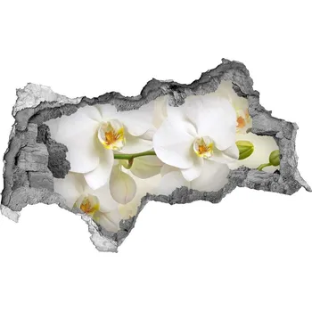 Fototapeta Samolepící nálepka fototapeta Orchidej