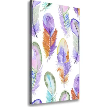 Obraz Vertikální Foto obraz na plátně Barevná pírka