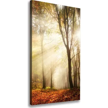 Obraz Vertikální Foto obraz canvas Les na podzim