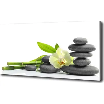 Obraz Foto obraz na plátně Orchidej