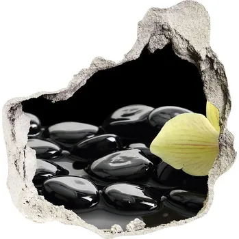 Fototapeta Samolepící díra na stěnu nálepka Orchidej