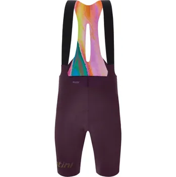 Pánské kraťasy Kraťasy se šlemi SANTINI Unico Edge Red - L