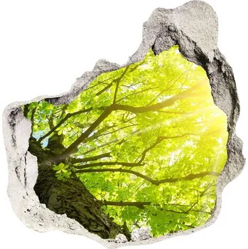 Fototapeta Samolepící díra nálepka Kaštan jaro