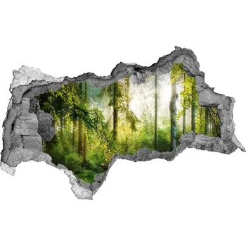 Fototapeta Díra 3D ve zdi nálepka Slunce les