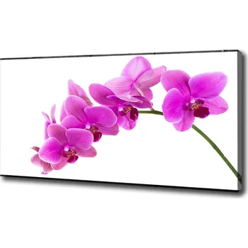 Obraz Foto obraz na plátně Růžová orchidej