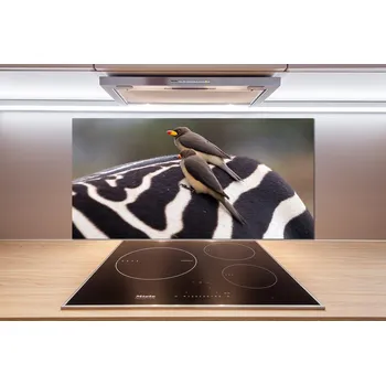 Obklad Panel do kuchyně Ptáci a zebra