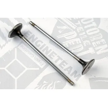 Ventil motoru Sací ventil ET ENGINETEAM VI0120