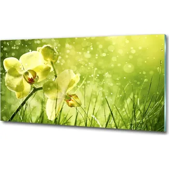 Obraz Foto obraz skleněný horizontální Orchidej