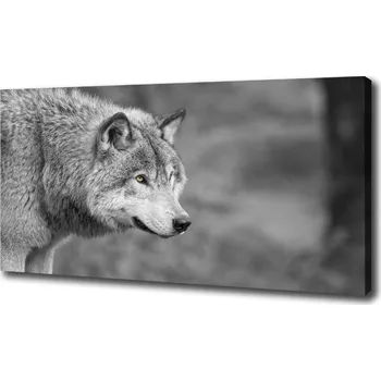 Obraz Foto obraz canvas Šedý vlk