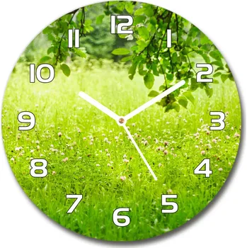 Hodiny Skleněné hodiny na stěnu Zelená louka
