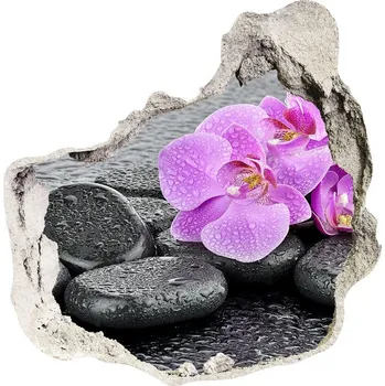 Fototapeta Samolepící díra na stěnu Orchidej kamení